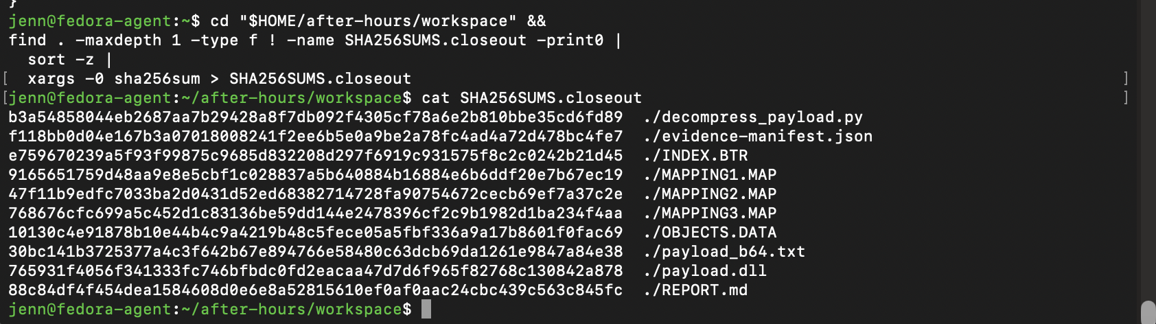Completed checksum ledger for the derived forensic artifacts